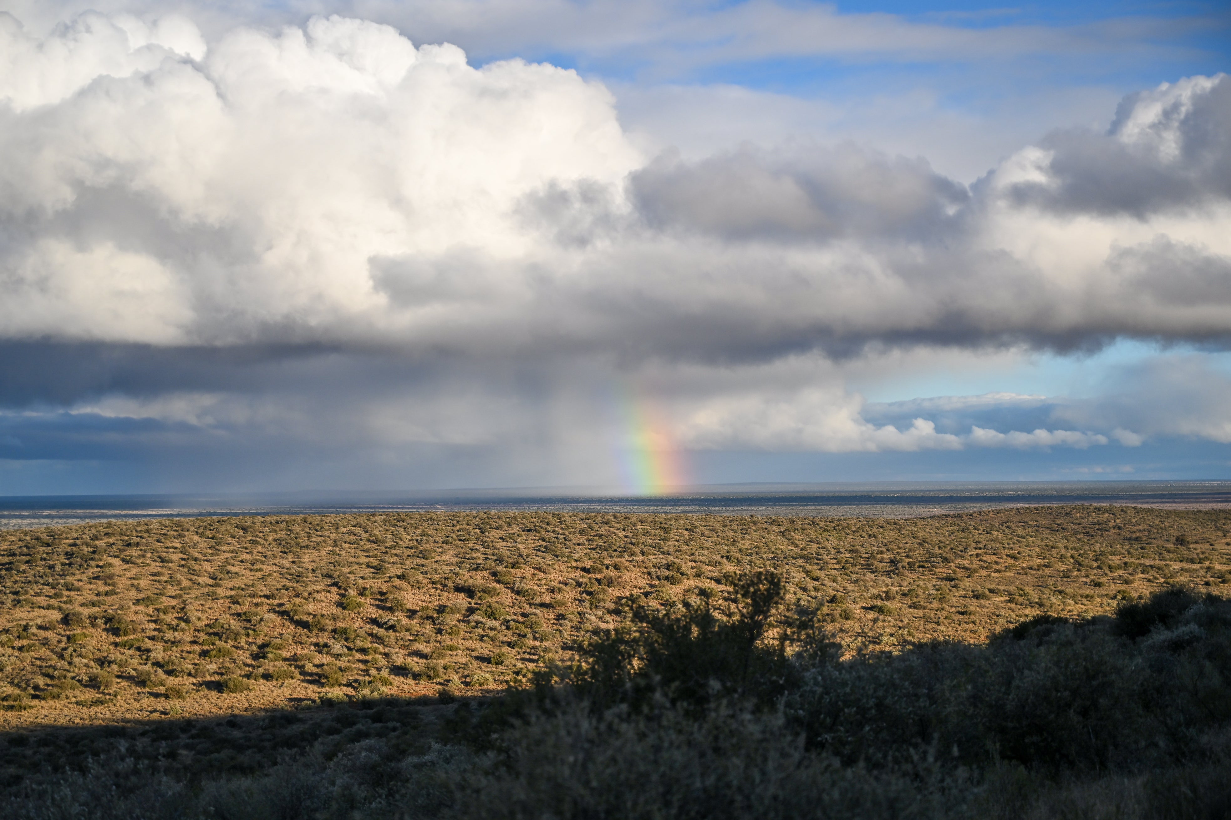 Rainbow over South African landscape