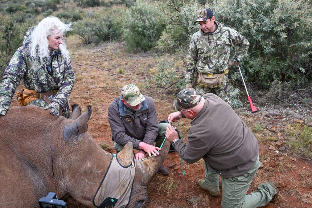 Supporting Rhino Conservation Through Food Service